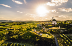 Die sanften Hügel des Weinviertels erstrecken sich bis zum Horizont, während die goldene Sonne über der malerischen Windmühle aufgeht. Umgeben von üppigen Weinreben und blühenden Wiesen, lädt dieser Ort dazu ein, die Ruhe der Natur zu genießen und die Schönheit der Landschaft zu entdecken.