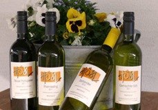 Four bottles of wine in front of a flowerpot with pansies.