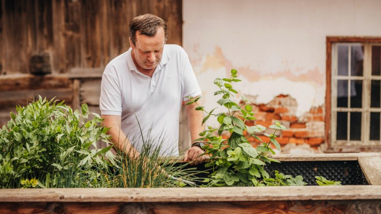A man in a white shirt works in a raised bed of herbs in front of an old brick wall.
