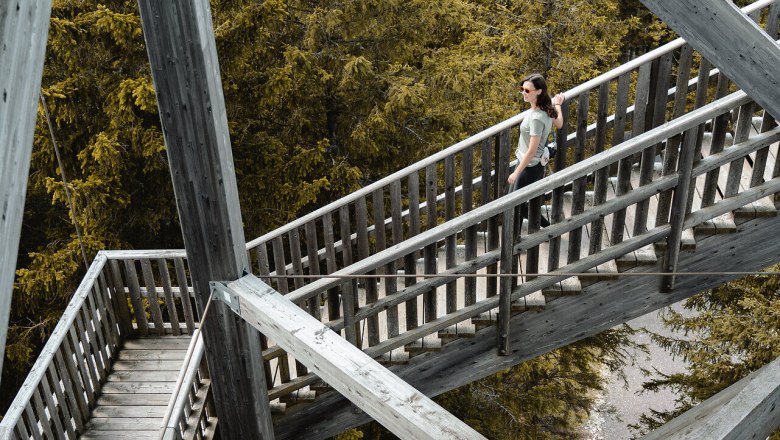 The wooden steps wind their way through the majestic trees and offer breathtaking views of the surrounding mountains. Here, surrounded by nature, you can feel the fresh mountain air and tranquillity that only the Alps can offer.