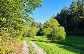 Worm fire, &copy; Dr. Markus Peham