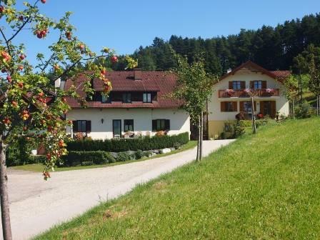 Two houses with red roofs in a green location surrounded by trees.