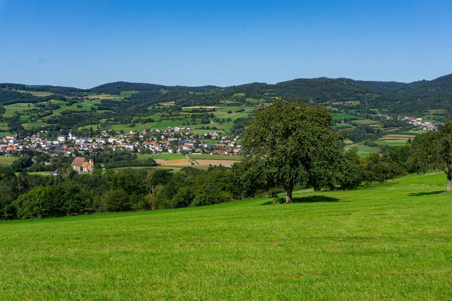 Goods road to Mandlgupf, view back to Pöggstall