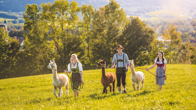 Hike through nature, © auftragsfoto.at Stefan Sappert