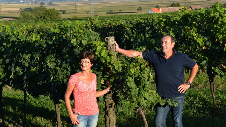 Two people are standing in a vineyard, surrounded by green vines and a hilly landscape in the background.