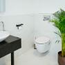 Modern bathroom with washbasin, toilet and plant.