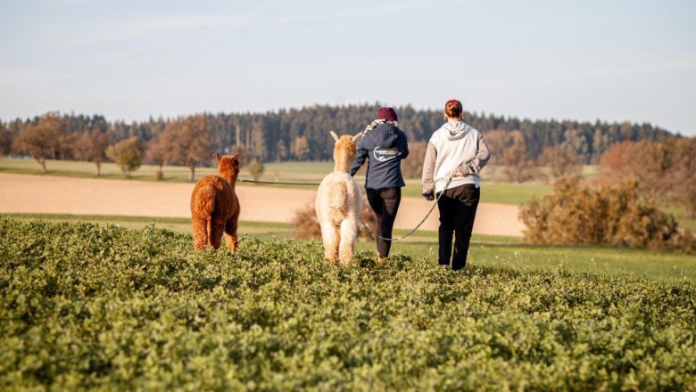 Alpaca hike, &copy; Wagner-Hubbauer