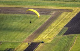 A parachutist with a yellow parachute over green fields, below a tractor on a dirt road.
