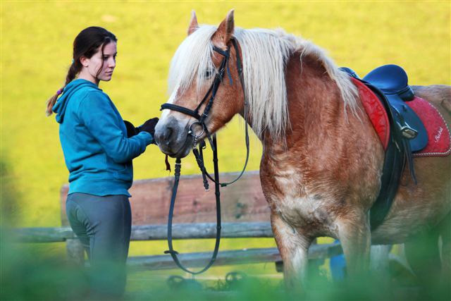 A woman stands next to a saddled horse and holds the reins. A yellow wall can be seen in the background.