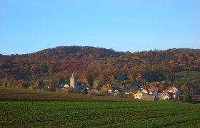 Kellergasse Michelstetten, © Karl Kummernecker