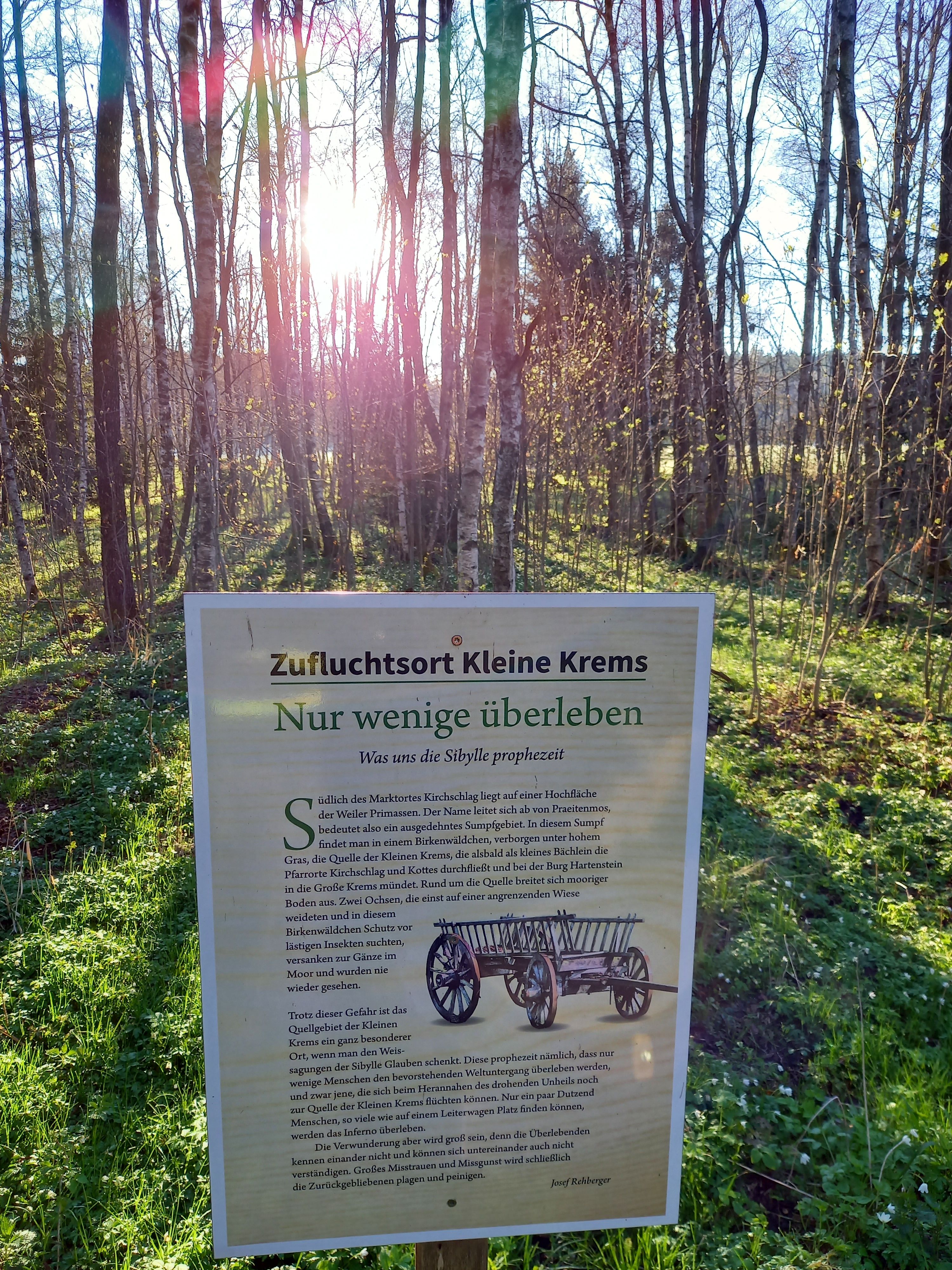Information board in the forest with information about the origin of the Kl. Krems