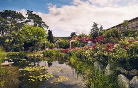 A picturesque garden with a pond, colorful flowers and trees under a blue sky.