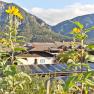 Sunflowers in front of solar panels and mountains in the background.
