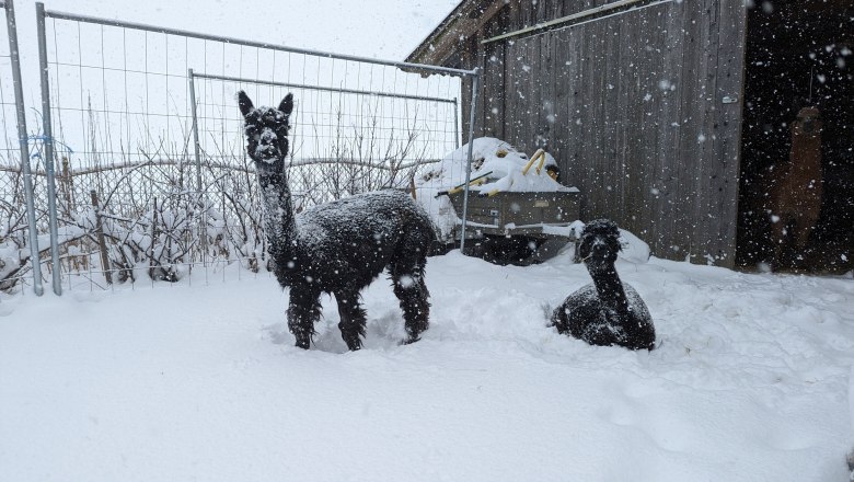 Sophie and Marie in the snow, &copy; Michael Berner