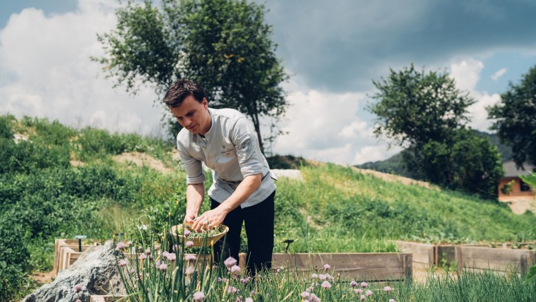 A man in a garden picks herbs in a basket, surrounded by green vegetation and trees under a cloudy sky.