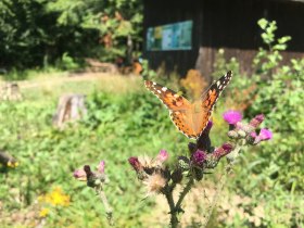 Naturpark Purkersdorf, &copy; Wienerwald Tourismus GmbH / Naturpark Purkersdorf