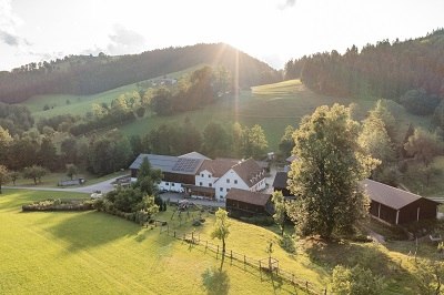 Aerial view over the lime tree, © Einkehrhof Poggau