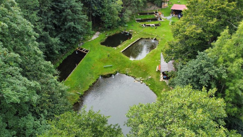 Aerial view of several fishing and angling ponds in a wooded area with adjoining building.