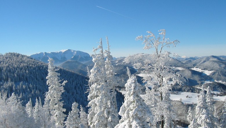 Snow-covered landscape in the Hohe Wand Nature Park with snow-covered trees and mountains in the background.