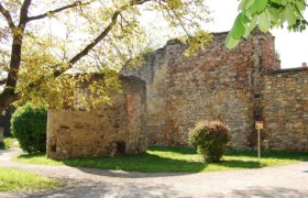 Old city wall in Horn, surrounded by trees and green spaces.