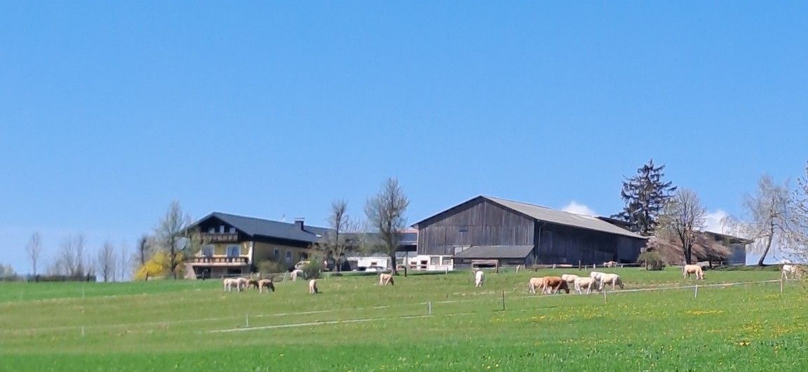 Stieger Organic Farm