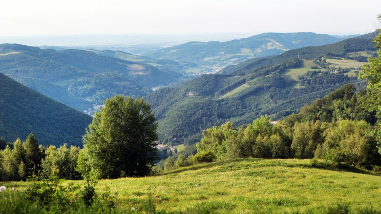 Panoramic view of green hills and valleys from the Muckenkogel.