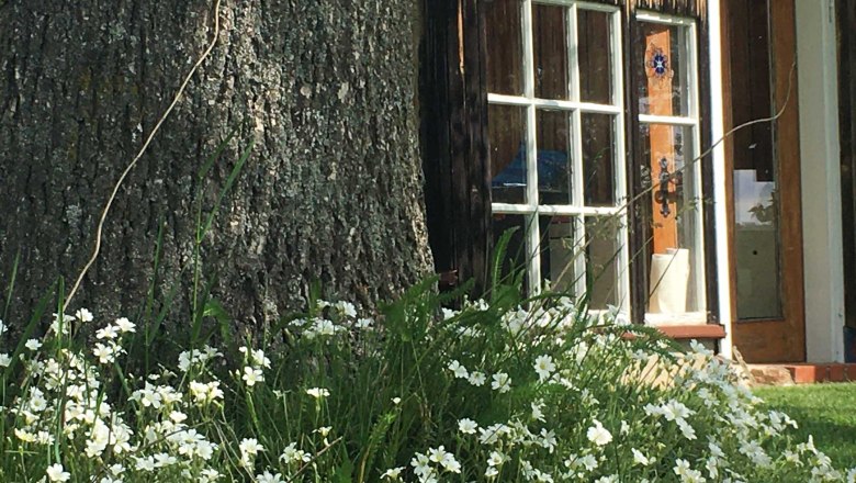 Glass house entrance side, &copy; Peter Brezina