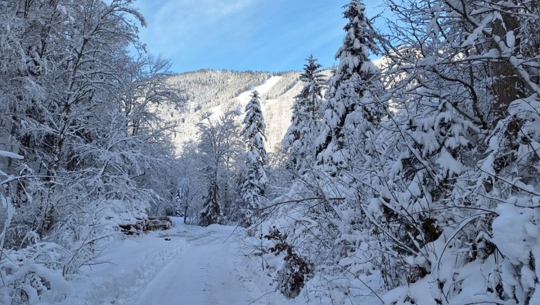 ferienhof-schelchen-in-winter-12, &copy; Schoisswohl