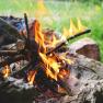 Close-up of a campfire with burning logs and flames, surrounded by stones in the open air.