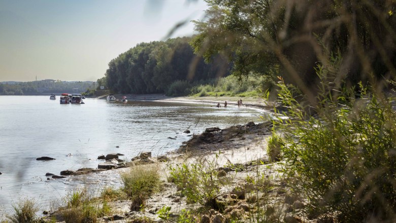 Danube beach in Luberegg, © Donau NÖ/Barbara Elser