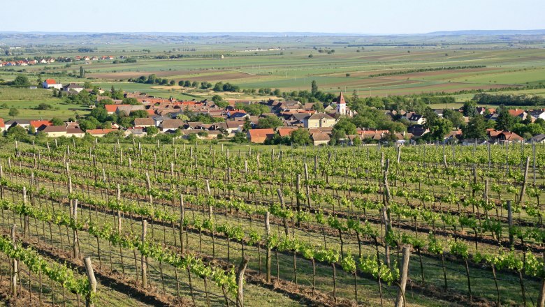 Vineyards with village in the background and sweeping views over the countryside.