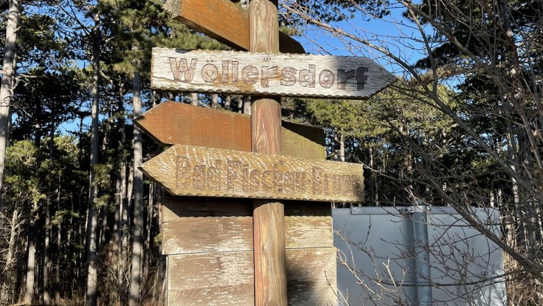 Signpost in the forest with several wooden signs indicating different directions.