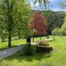 A green park with trees, a path and an old fountain.