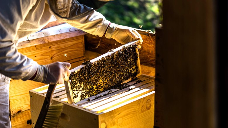 Julia the beekeeper, © Einkehrhof Poggau