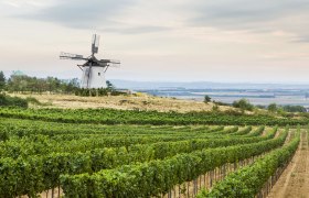 Retz windmill in Weinviertel, © Niederösterreich-Werbung/ M. Liebert