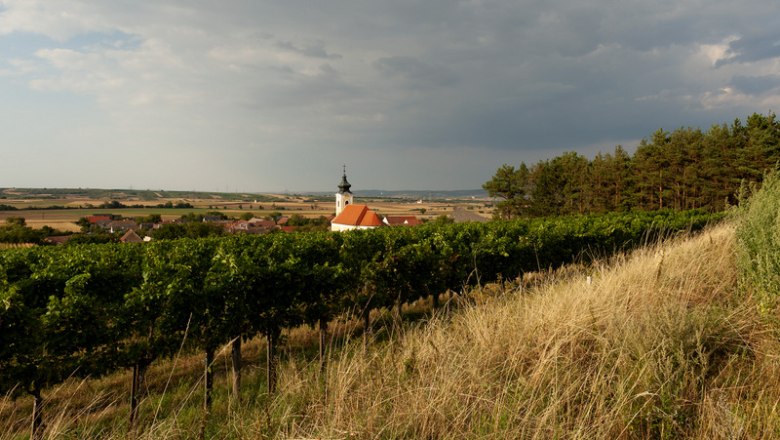 Landscape with church, vines and cloudy sky.