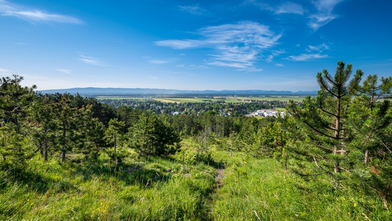 Panoramic view of a green landscape with trees and a village in the background under a blue sky.