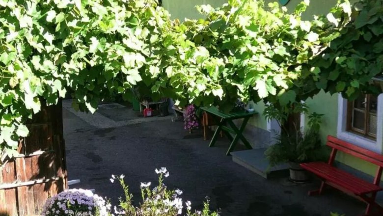 Inner courtyard with flowers and seating