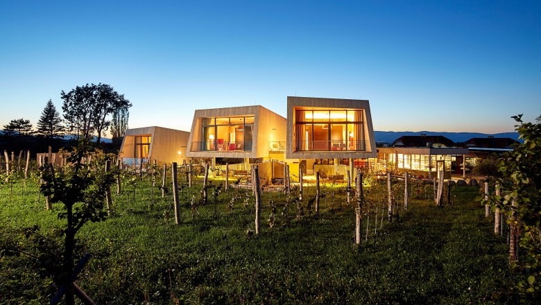 Modern garden lofts at Gut Guntrams at dusk, surrounded by vines.