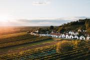 The longest cellar alley in the Weinviertel, Maulavern., © Romeo Felsenreich