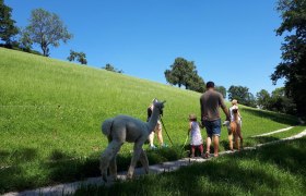 Stroll along fruit trees, © Stefanie Ecker