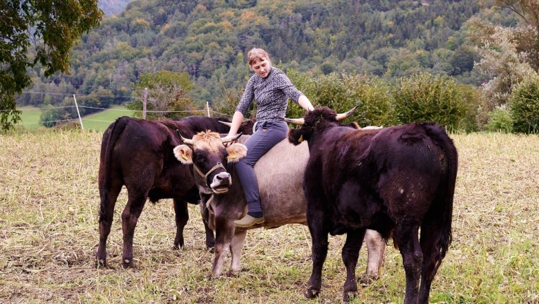Cattle on the pasture, © Mara Hauck