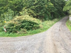 Wanderweg Nr. 30, Eichen und Eulen, &copy; Gemeinde Allentsteig