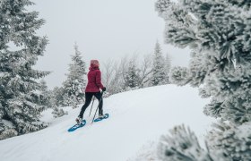 Snowshoeing on the Rax, © Tereza Bokrová