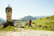 Passing by the red gate in Spitz., © Niederösterreich Werbung/Andreas Jakwerth