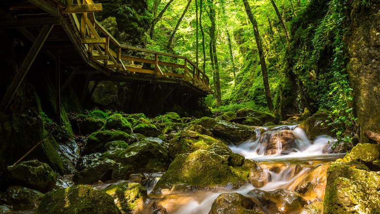 A wooden footbridge leads through a green, wooded gorge with a flowing stream.