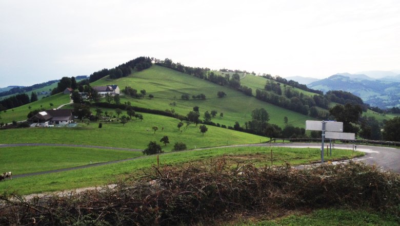 Landscape with green hills, farmhouses and a winding road.